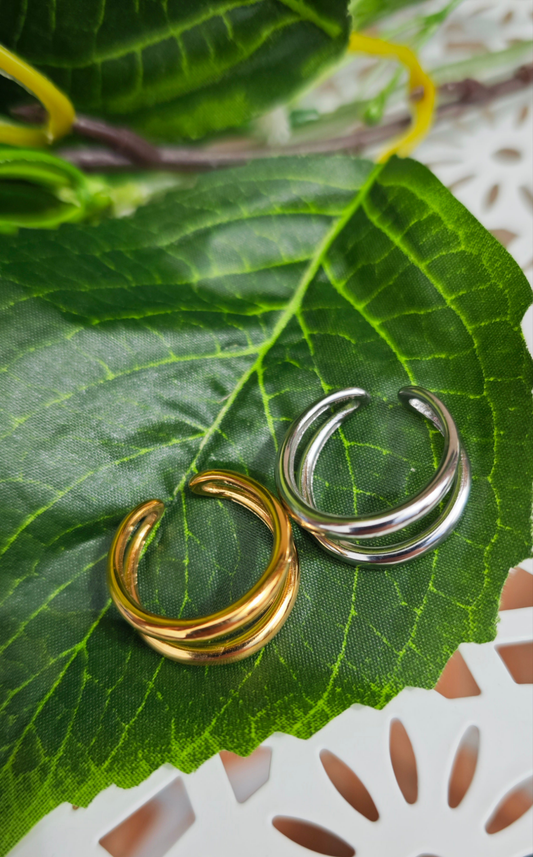Anello Doppio